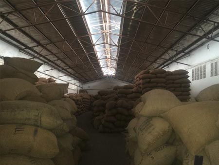 Coffee Exporters Ltd (Tanzania) Stores